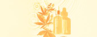 What Is CBD (Cannabidiol)? - Discover The Facts