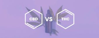 CBD vs THC: Discover The Difference