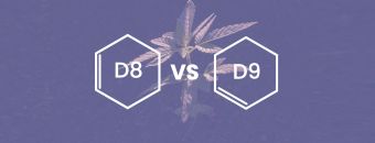 Delta 8 vs. Delta 9 The Two Most Popular Cannabinoids