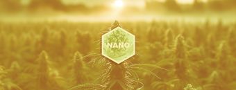 What Are Nano Cannabinoids? What You Need to Know