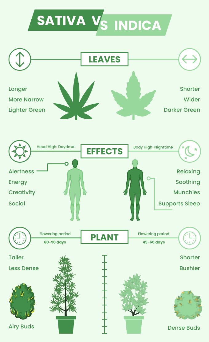 Sativa vs. Indica Chart