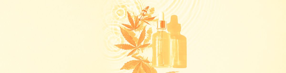 What Is CBD (Cannabidiol)? - Discover The Facts