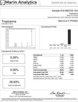 Tropicana Flower - THCA - Sativa