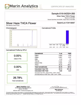 Silver Haze Flower - THCA - Sativa