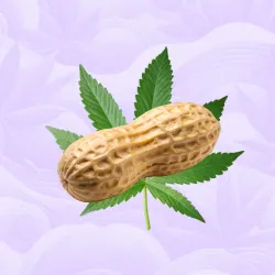 THC Blend Peanuts