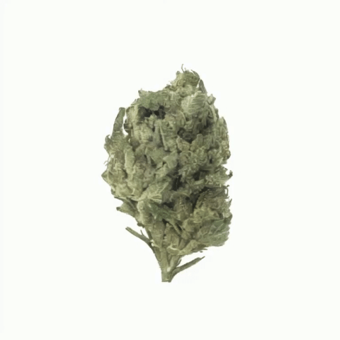 Jelly Cake Flower - THCA - Indica - 3