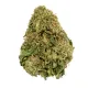Acapulco Gold Flower - Sativa - THCA